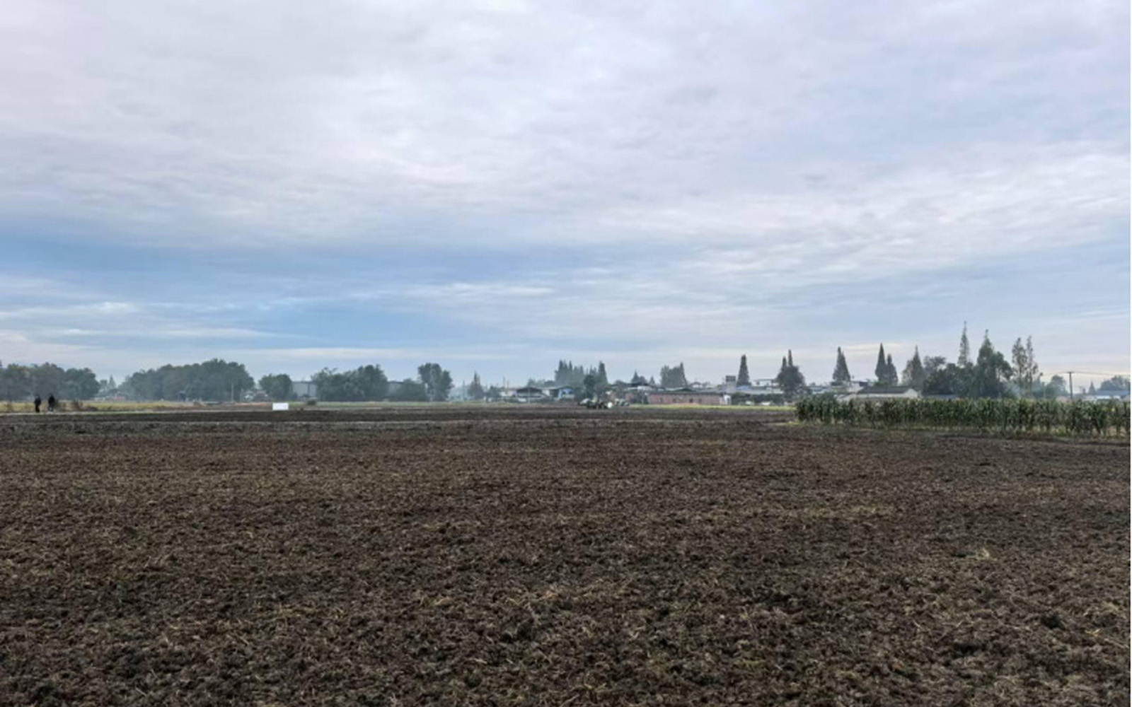 四川省成都会2024年大邑县新场镇、、、安仁镇高标准农...